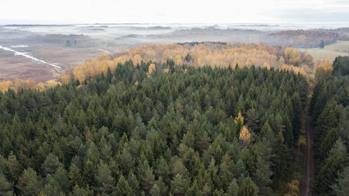 High angle view of trees on landscape against sky