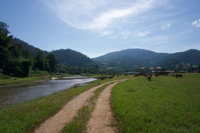 Scenic view of landscape against sky