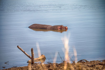 Reflection of man on water in lake