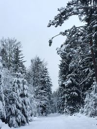 Scenic view of snow covered landscape