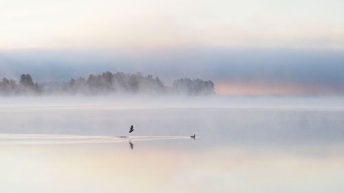 Scenic view of sea during foggy weather