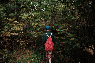 Rear view of woman walking in forest