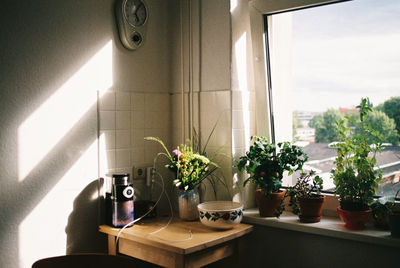 Sunlight in the kitchen during the afternoon, potted plants on the windowsill