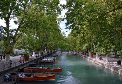 Boats in river along trees in city