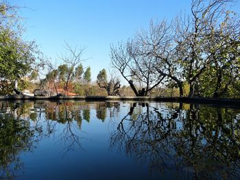 Reflection of trees in lake against clear sky