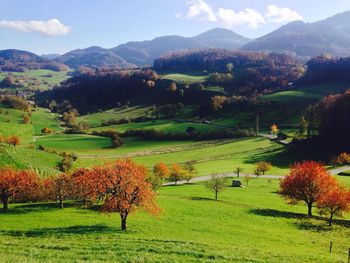 Scenic view of landscape against sky during autumn