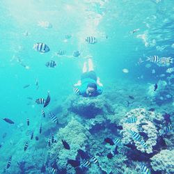 Portrait of man swimming amidst fish in sea