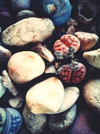 Close-up of hand holding pebbles