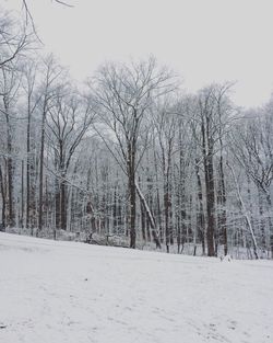 Bare trees against sky during winter