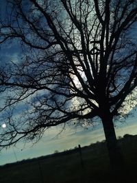 Silhouette bare tree on field against sky