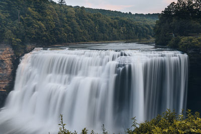 Scenic view of waterfall in forest