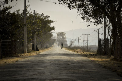 Rear view of person walking on footpath amidst trees against sky