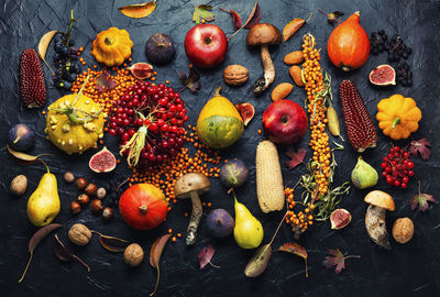 Autumn harvest set