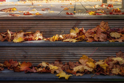 High angle view of autumn leaves on barbecue grill