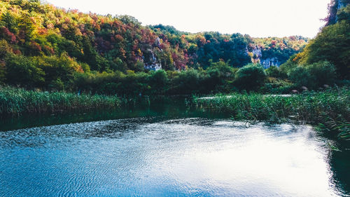 Scenic view of lake in forest against sky