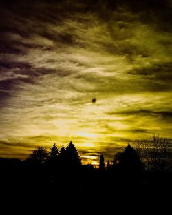 Silhouette of trees at sunset