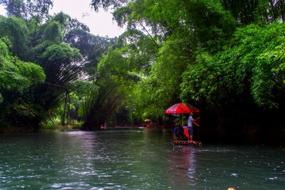 Scenic view of wet trees during rainy season
