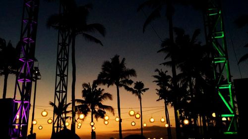 Silhouette palm trees against sky at night