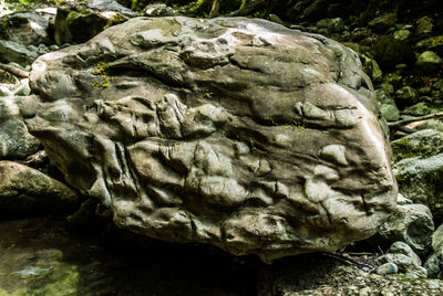 Close-up of statue on rock