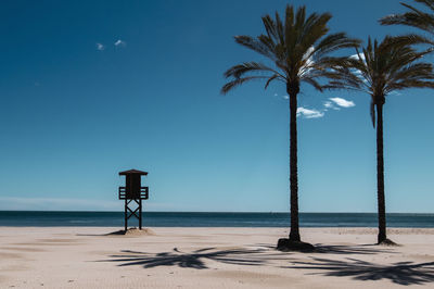 Palm trees on beach against sky