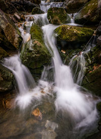 Scenic view of waterfall in forest