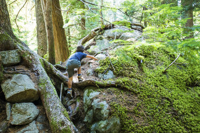 Rear view of young boy climbing with confidence in lush forest.