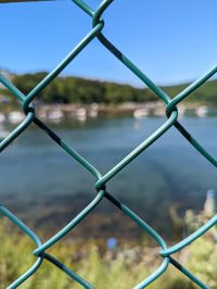 chainlink fence