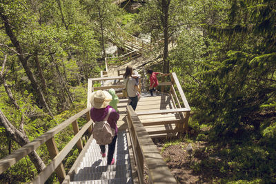 Family walking through forest