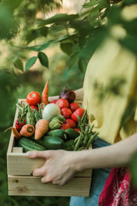 Close-up of vegetables