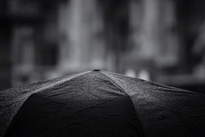 Close-up of wet umbrella