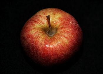 Close-up of red fruit over black background