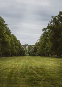 Trees on field against sky