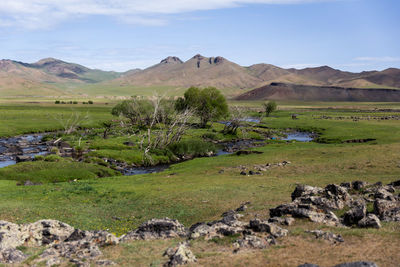 Scenic view of landscape against sky