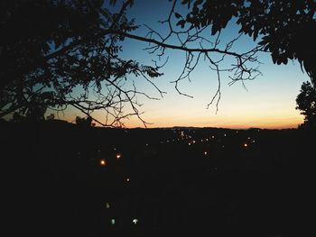 Silhouette trees against sky at night