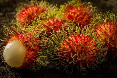 Close-up of orange fruits