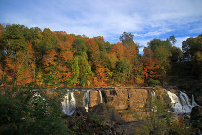 Scenic view of forest against sky during autumn