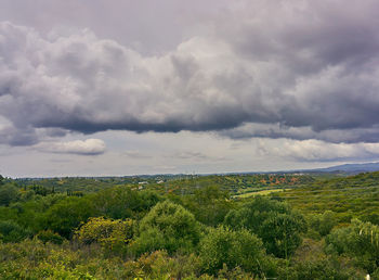 Scenic view of field against sky