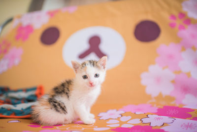 Cat relaxing on bed