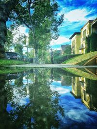 Reflection of trees in water