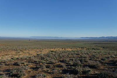 Scenic view of field against clear blue sky