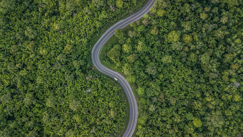 Aerial view of winding road amidst trees in forest