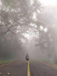 Rear view of man walking on road amidst trees