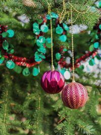 Close-up of christmas tree