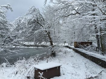 Bare tree on snow covered landscape