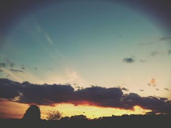 Low angle view of silhouette trees against sky at sunset