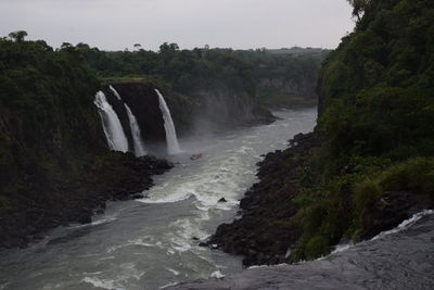 Scenic view of waterfall in forest