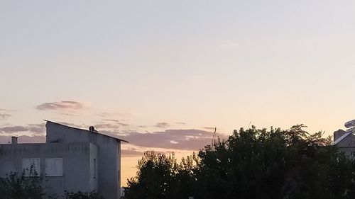 Low angle view of silhouette trees and buildings against sky