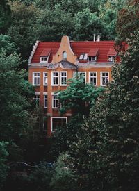 Low angle view of trees and building