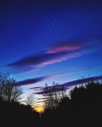 Silhouette of trees against dramatic sky