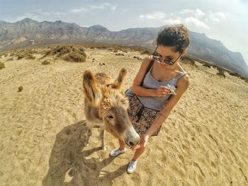 Young woman feeding donkey while standing on sand at desert